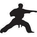 World Martial Arts logo